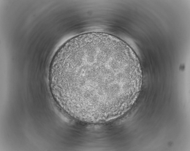 X0000091101051200709041319