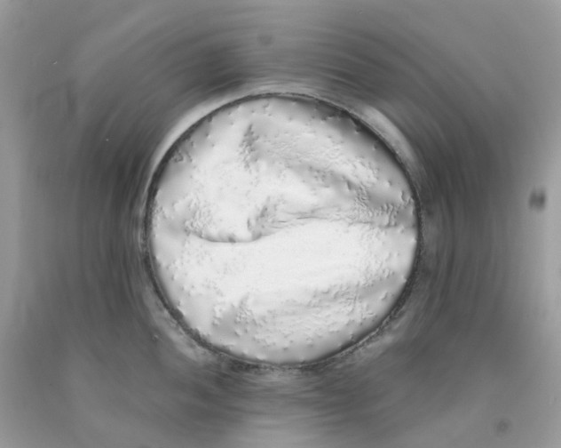 X0000091101052200709041319