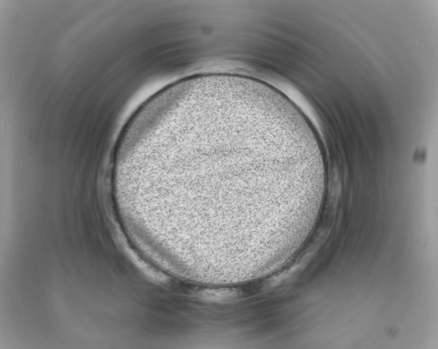 X0000091101053200709041319