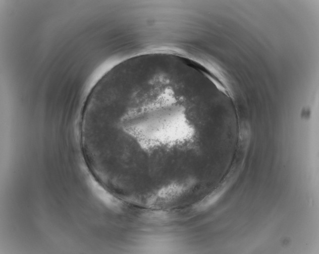 X0000091101054200709041319