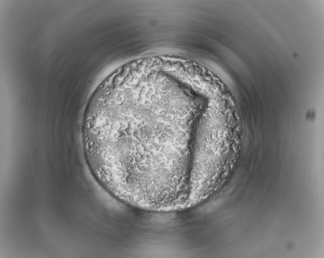 X0000091101055200709041319