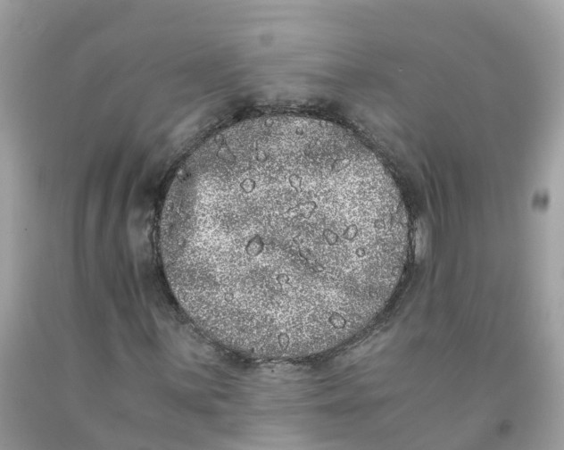 X0000091101059200709041318