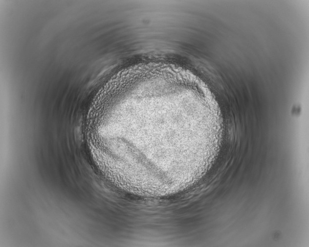 X0000091101060200709041318