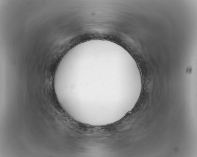 X0000091101061200709041318