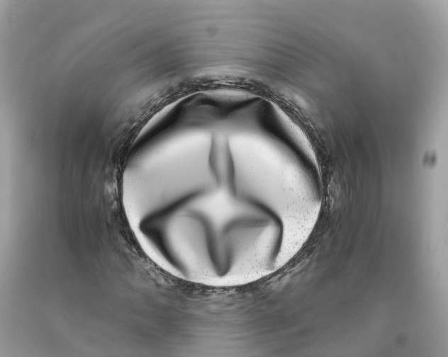 X0000091101062200709041318