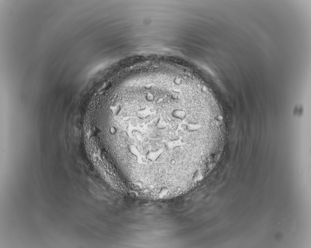 X0000091101063200709041318