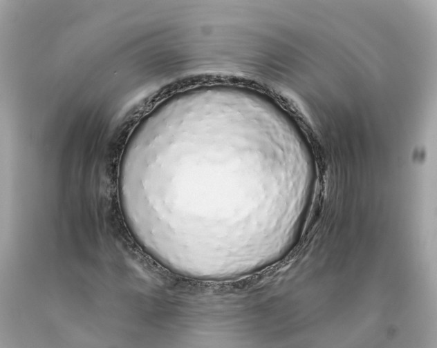 X0000091101064200709041318