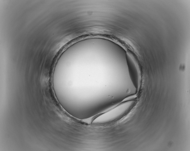 X0000091101065200709041318