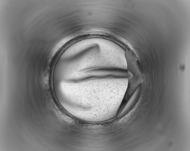 X0000091101066200709041318