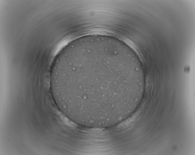 X0000091101067200709041318