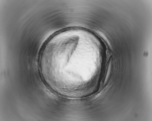 X0000091101068200709041318