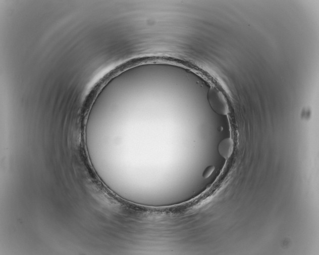 X0000091101069200709041318