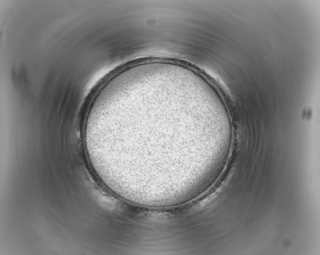 X0000091101070200709041318