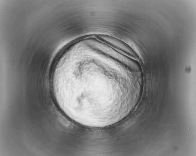 X0000091101072200709041318