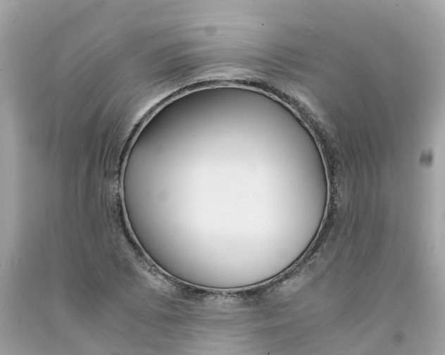 X0000091101073200709041318