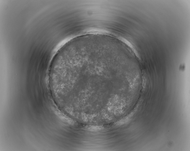 X0000091101074200709041318