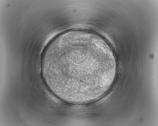 X0000091101075200709041318