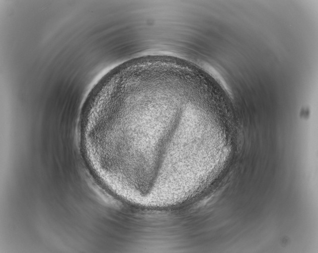 X0000091101076200709041318