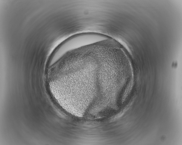 X0000091101077200709041318