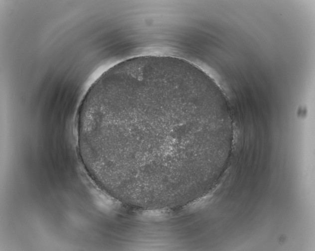 X0000091101078200709041318