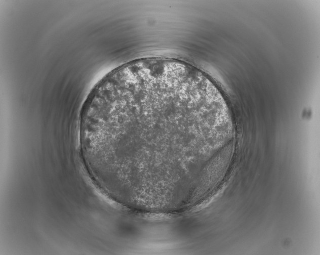 X0000091101079200709041318