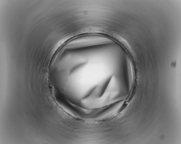 X0000091101081200709041318