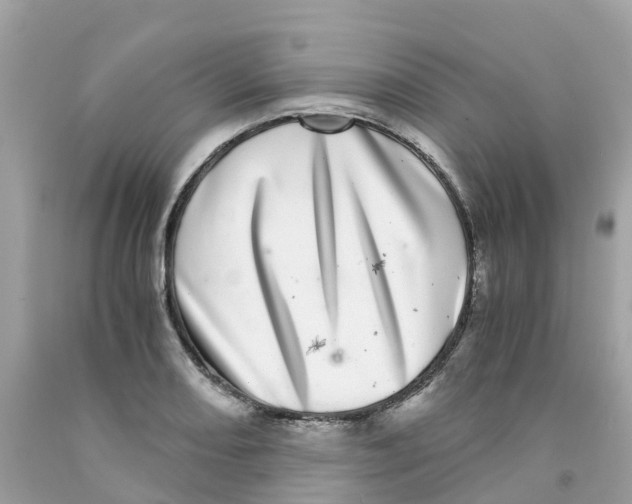 X0000091101082200709041318