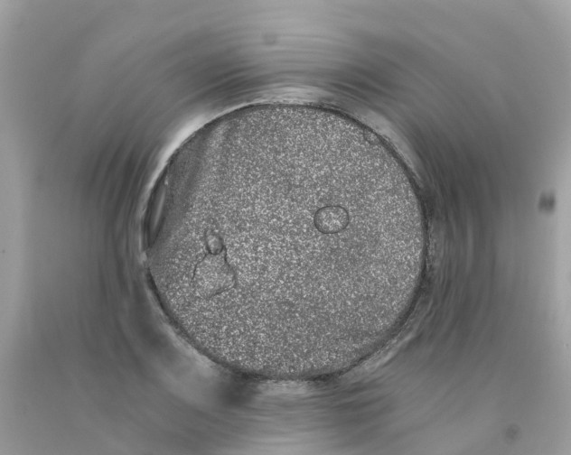 X0000091101083200709041318