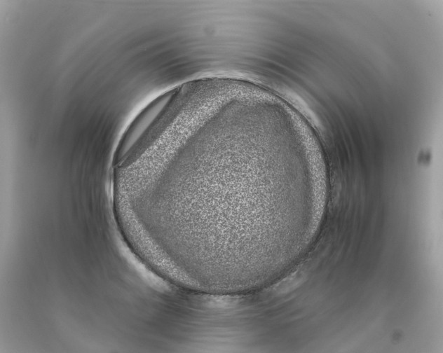 X0000091101084200709041318