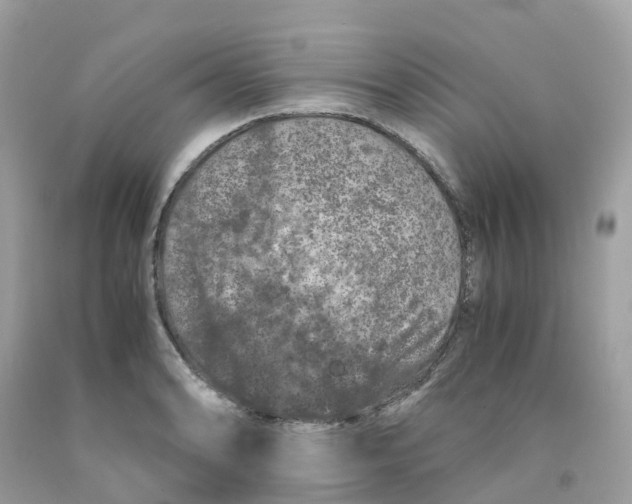 X0000091101086200709041318