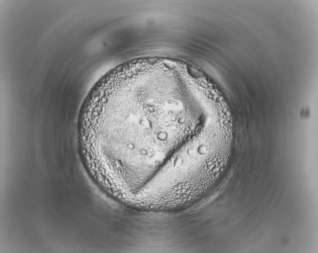 X0000091101087200709041318