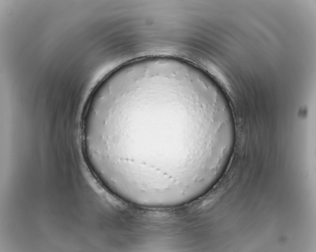 X0000091101088200709041318