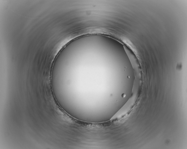 X0000091101089200709041318