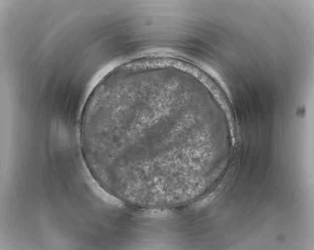 X0000091101090200709041318