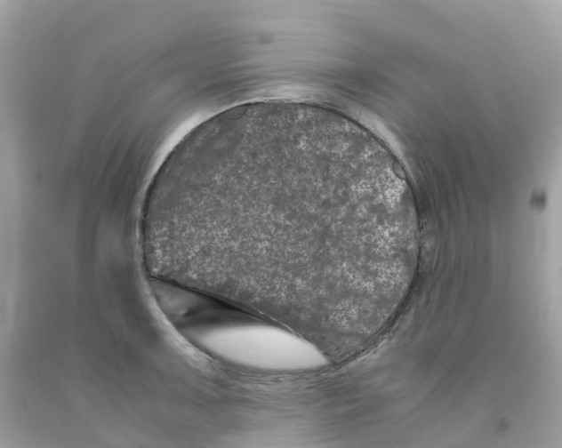 X0000091101091200709041318