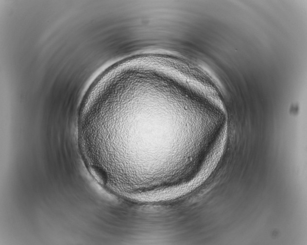 X0000091101092200709041318