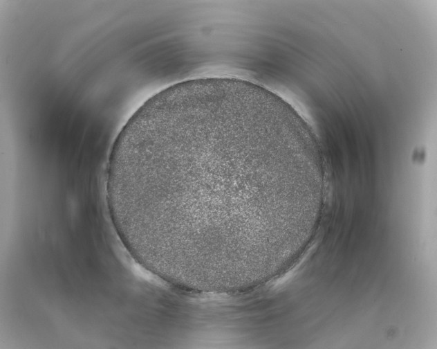 X0000091101094200709041318