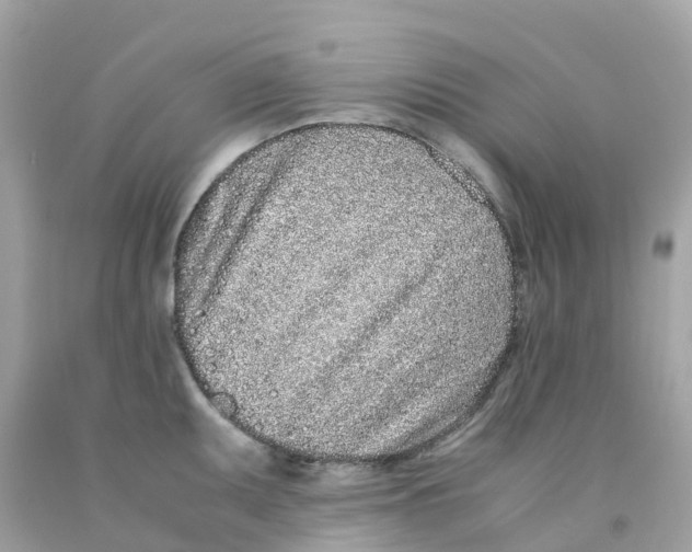 X0000091101095200709041318