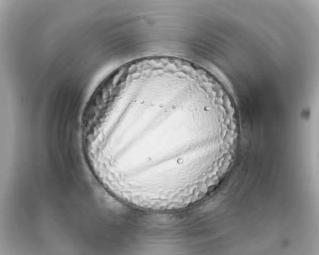 X0000091101096200709041318