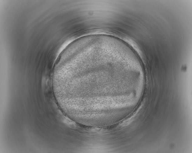 X0000091101097200709041318