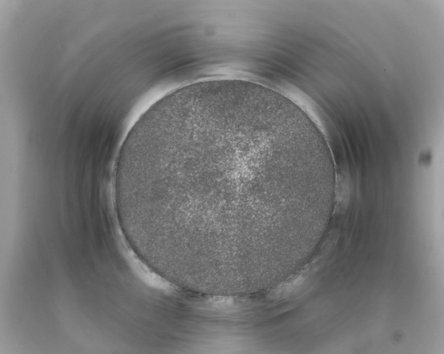 X0000091101098200709041318