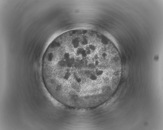 X0000091101099200709041318