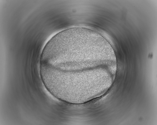 X0000091101100200709041318