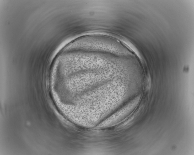 X0000091101101200709041318