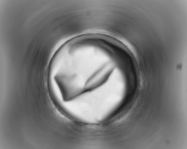 X0000091101102200709041318