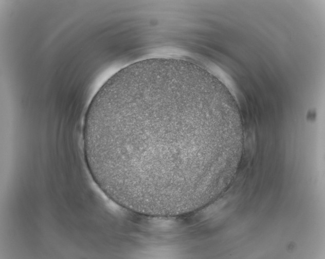 X0000091101103200709041318