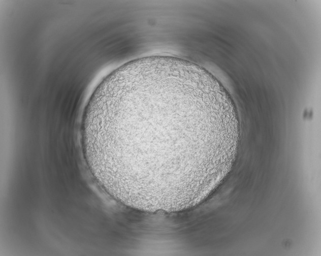 X0000091101104200709041318