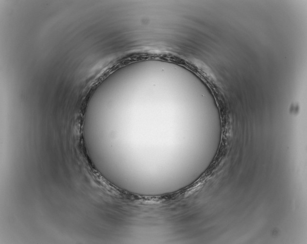 X0000091101110200709041317