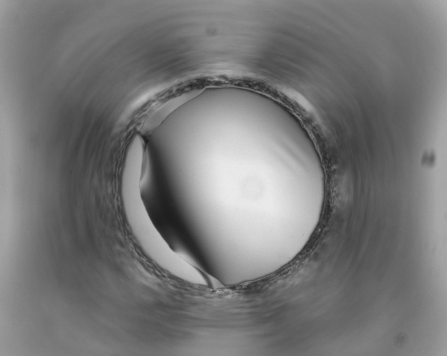 X0000091101112200709041317