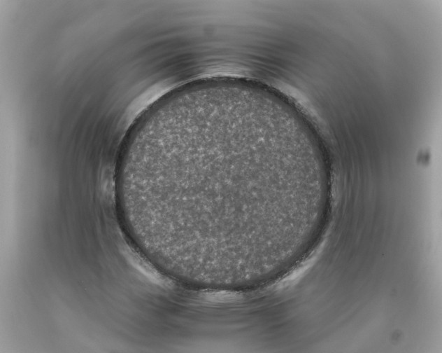 X0000091101113200709041317